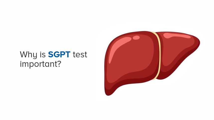 Why SGPT Increases: Causes, Symptoms & How to Reduce High SGPT Levels