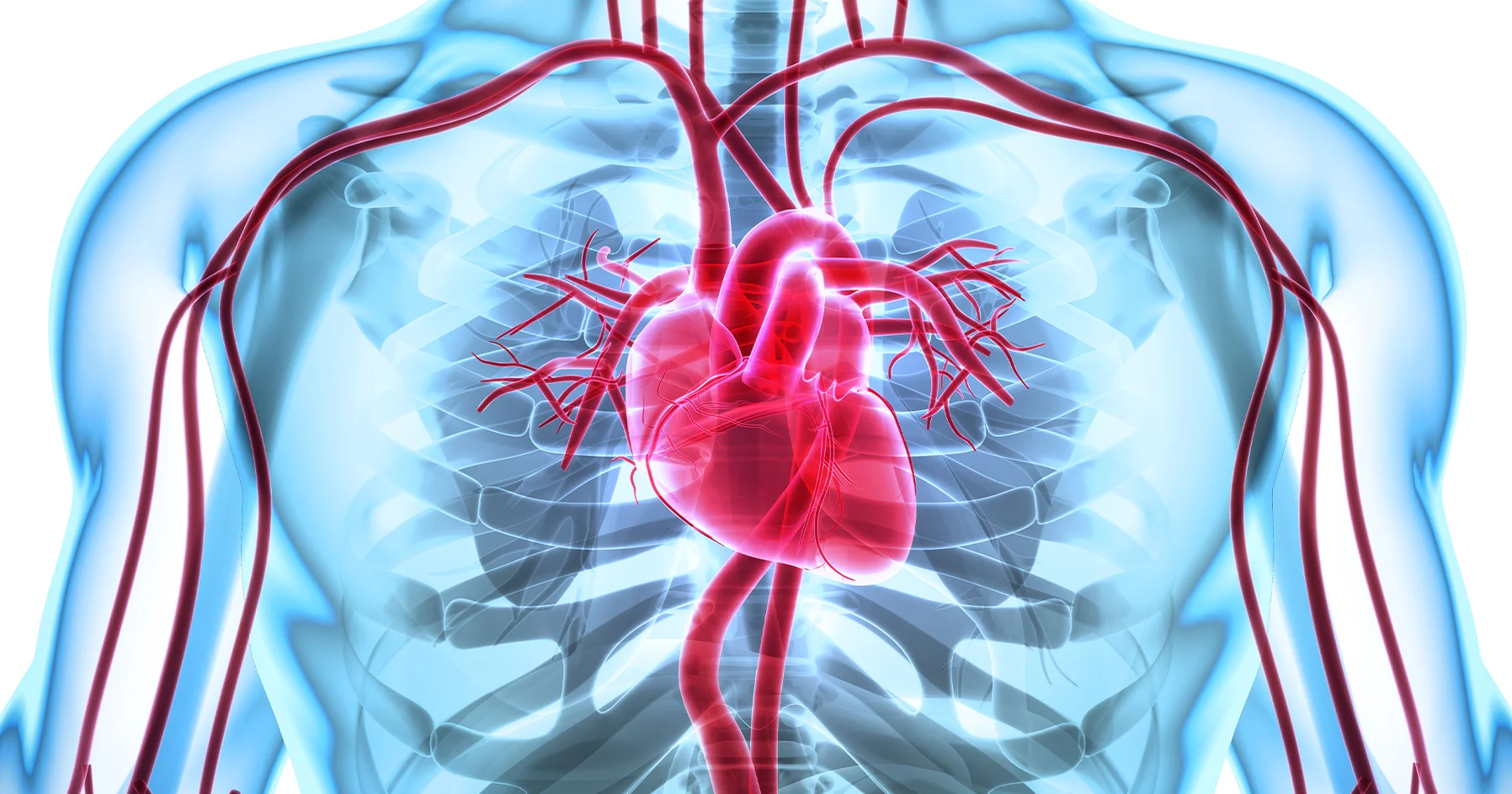 What Is Hypertension? Causes, Stages & When to Worry