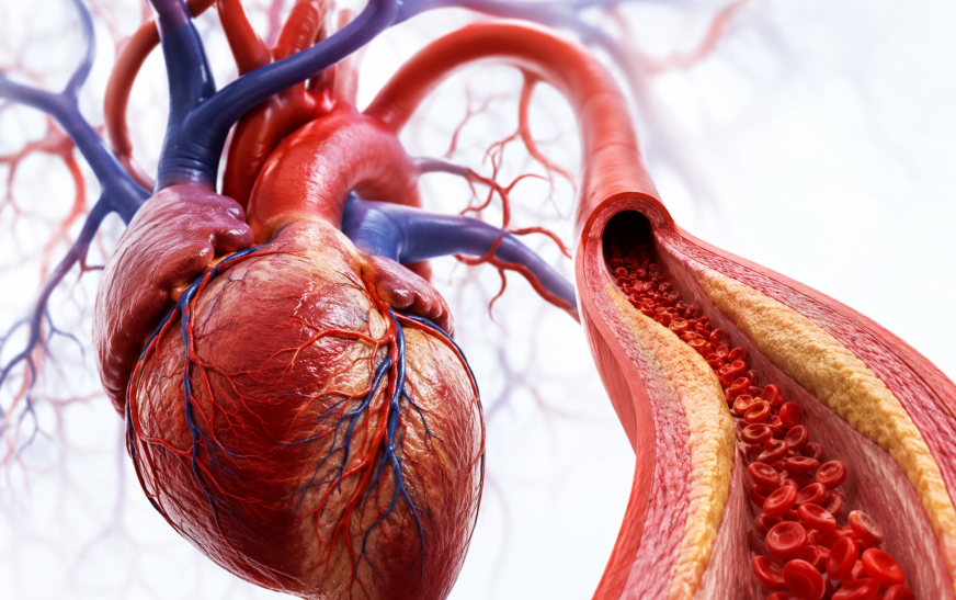 What Is Hypertension? Causes, Stages & When to Worry